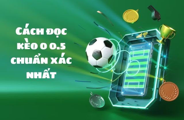 Hướng dẫn cách đọc kèo 0 0.5 chuẩn xác
