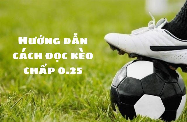 Hướng dẫn cách đọc kèo chấp 0.25
