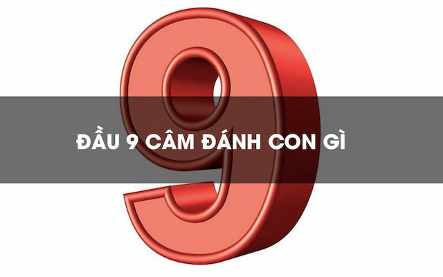 Đầu 9 Câm Mai Đánh Con Gì? Kinh Nghiệm Đánh Đầu 9 Câm “Chuẩn”