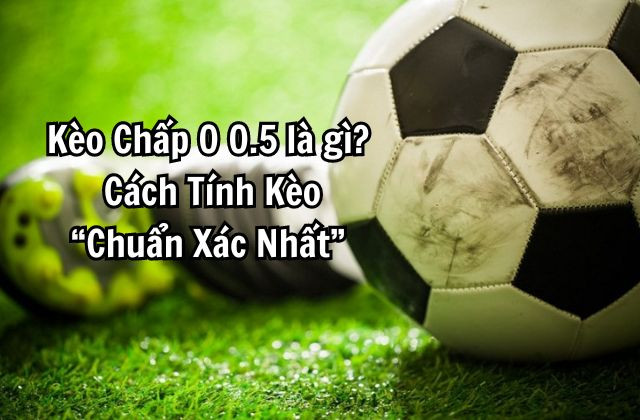 Kèo Chấp 0 0.5 Là Gì? Cách Tính Kèo “Chuẩn Xác Nhất”