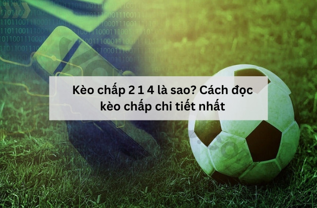 Kèo chấp 2 1 4 là sao? Cách đọc kèo chấp chi tiết nhất